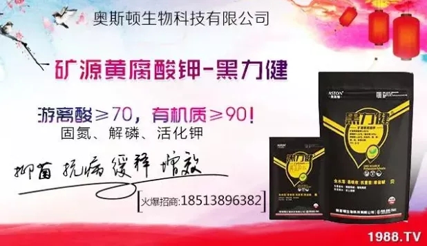 ����ʲô�r�g���N��ע�����(xi��ng)����Щ�����ش���Nֲ�r�g����
