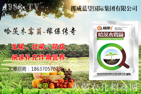 �ի@���С����΃�������С�������P�I�c������