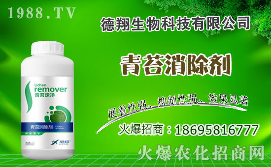 �Ͳ�ʲô�r(sh��)�g�Nֲ���Ͳ˷Nֲ������ʲô������Щע�����(xi��ng)��