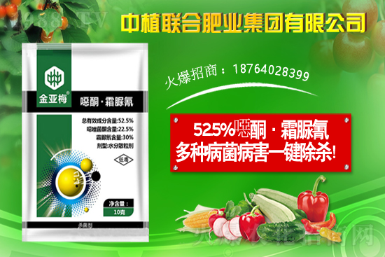 11��19�Շ��Ȳ��֮a�^(q��)�����r��