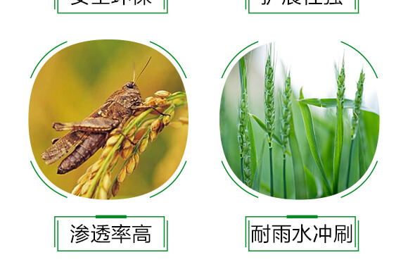 �r(n��ng)���ЙC������-��չ��ƿ�b��-���r(n��ng)˹�__06