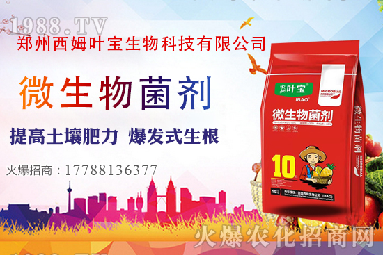     11��7�ղ��օ^(q��)�����r(ji��)������C��������