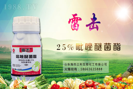 魔芋價(jià)格多少錢一斤？2021年魔芋種植前景如何？