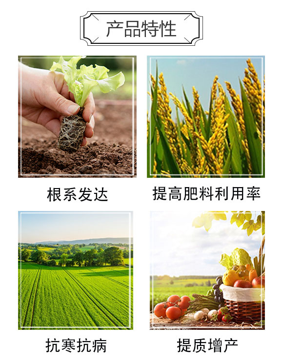 ��Ч�VԴ�S�����-�����r�I(y��)_03