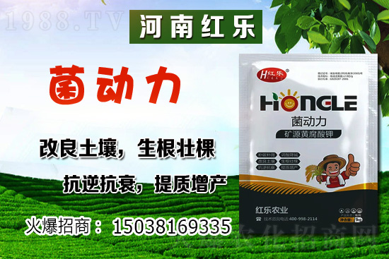 12�·��ܷNʲô�߲ˣ������߲˷Nֲ����Щ������