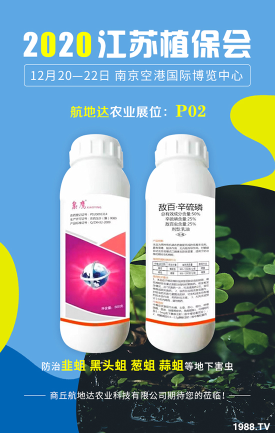 2020���Kֲ�����������_�r(n��ng)�I(y��)�����������@ϲ���࣡���u�B�B��