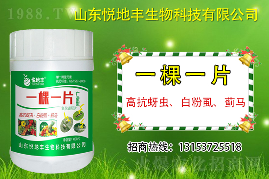 �߿����x(ch��ng)���׷�ʭ���E�R��ʲô����һ�x(ch��ng)������