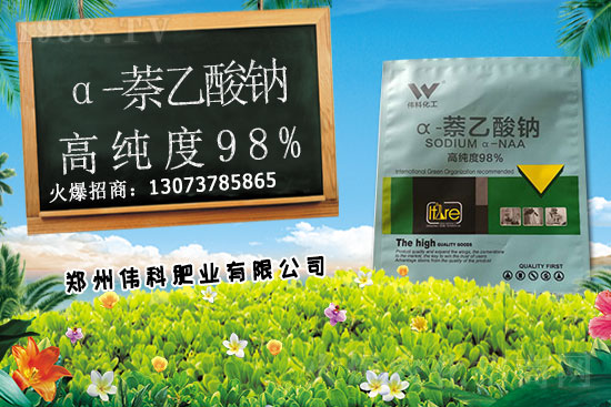豆角種植時間是什么時候？豆角對環(huán)境條件有哪些要求？