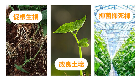 ��Ԫ��-ϲ�r(n��ng)��-�W��ɭ_03