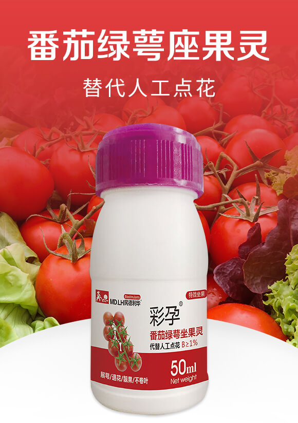 ���ѾG�������`-����-������A_01