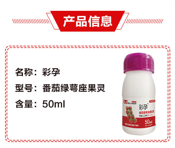 ���ѾG�������`-����-������A_02