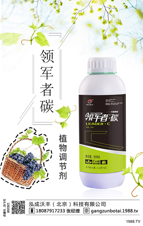 種植空心菜如何提高產(chǎn)量?這些種植方法要知道!