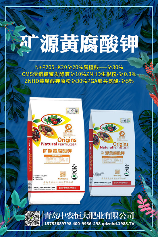 �紺���˷Nֲ���g(sh��)����Щ�����g����Ҫע��ʲô��