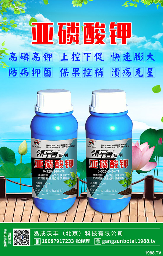 �ЙC�߲��c�o�����߲˵ą^(q��)�e���o�����߲���η��x��