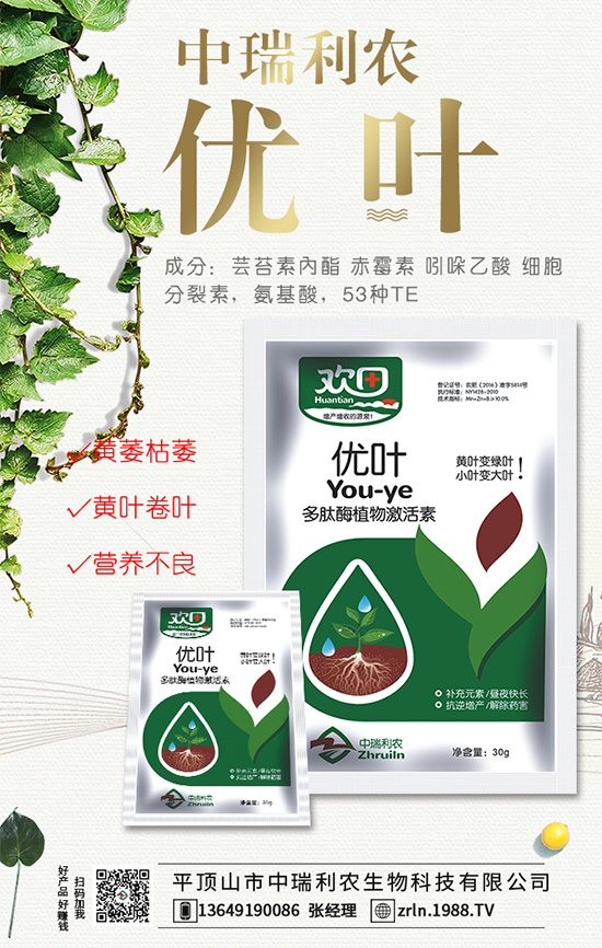 ����ʲô�r(sh��)�g�Nֲ�����������ڹ���Ҫ�c(di��n)��