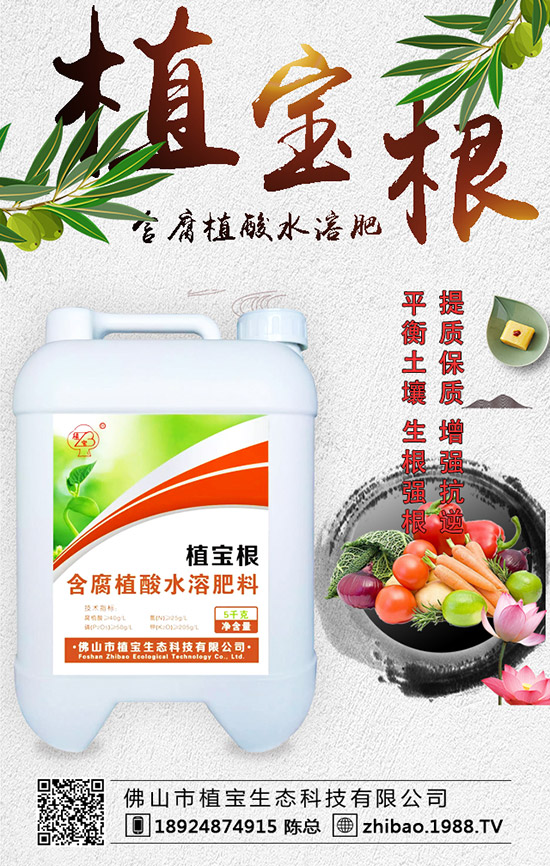 �紺���������Jʲô�r�g�N�������J��ֲ�����Ҫ�c��
