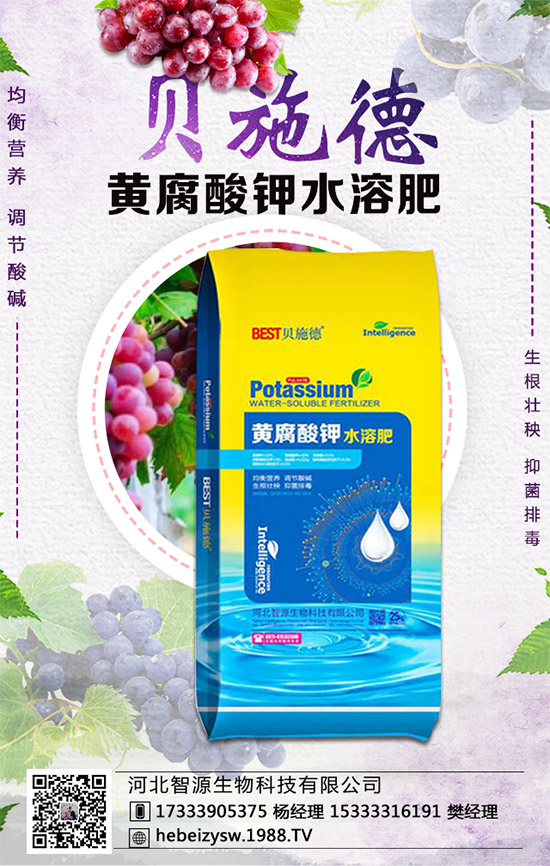 �۲˵ĠI�B(y��ng)�r(ji��)ֵ����Щ�������۲���ʲô��̎��