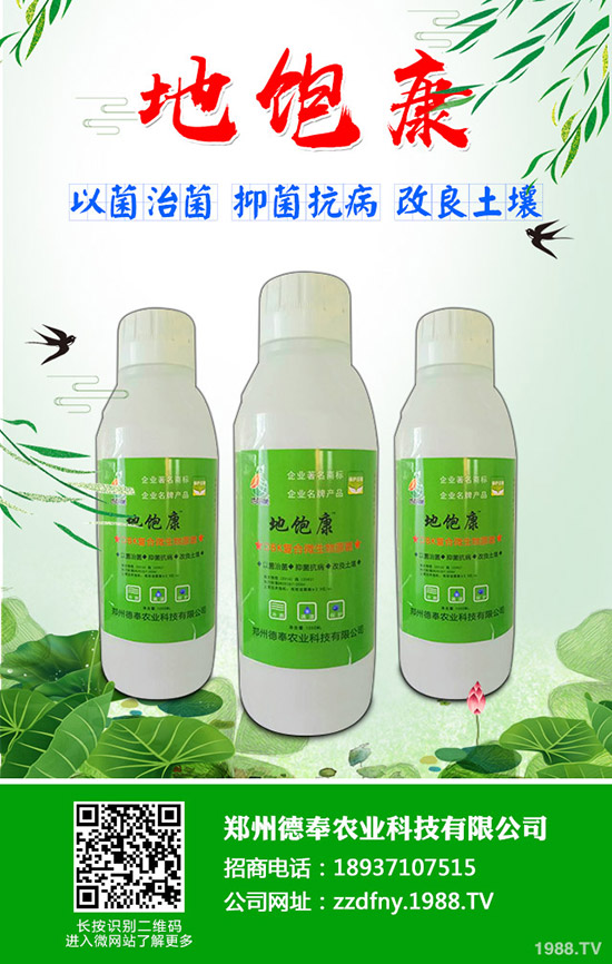�ϹϺ��ǲ�����Щ�Y�����ϹϺ��ǲ����η���