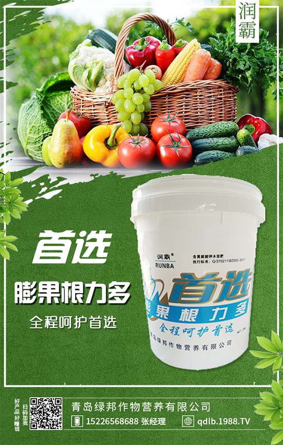 �f(w��n)�����U�����NҪ�c(di��n)���҃�(n��i)�f(w��n)����Nֲע�����(xi��ng)��
