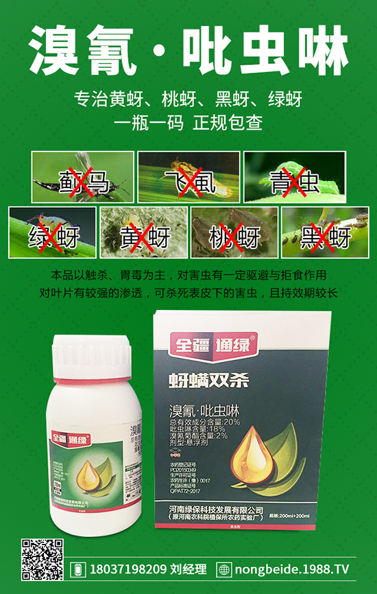 �������x���g�Y�����������x���δ�ʩ��
