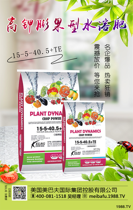 �ϹϷ��Ďׂ����L�A�����Ϲό��������I�B(y��ng)Ҫ��