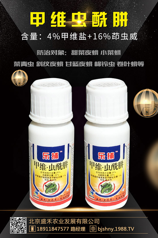 С���t֩��İl(f��)��Ҏ(gu��)������Щ��С���t֩����δ�ʩ��