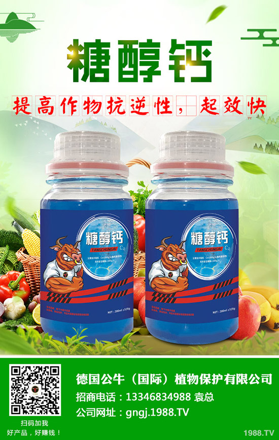 ����ʩ���v����������ʩ���Ľ���