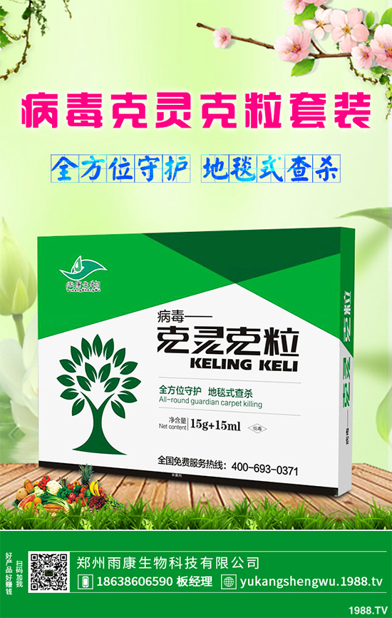 �W�ˌ�Ҫ���á���ɭ�i�\����