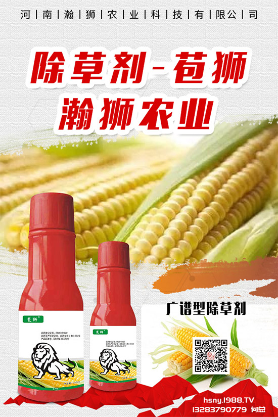 ����η