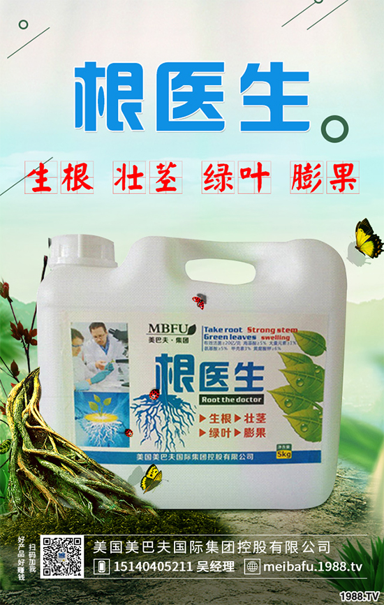 春花生什么時候播種？春花生的播種時間及注意事項