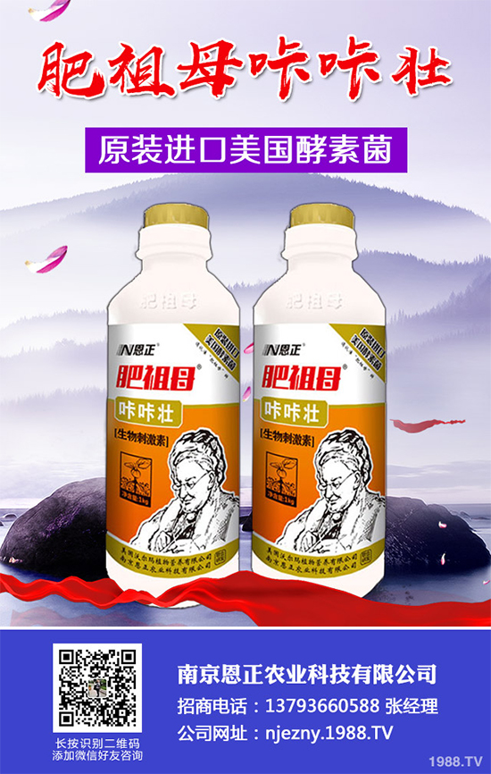     ��������β��ܲ��N�^(gu��)����^(gu��)�������N�r(sh��)�g��(y��ng)ԓ��4��߀��5�����𰸁�(l��i)�ˣ�