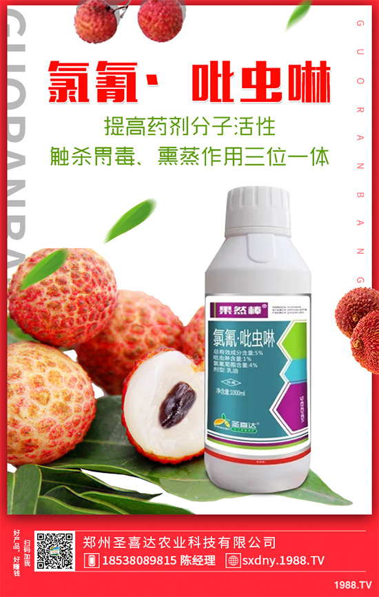 ��������ӛ���������x�y��߀�������������T��Ҫ��������أ�