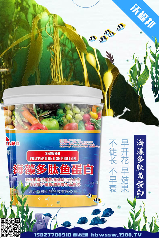     ���ӷNֲ��Ҫע����Щ���}�����ӵ�ˮ�ʹ���Ҫ�c��