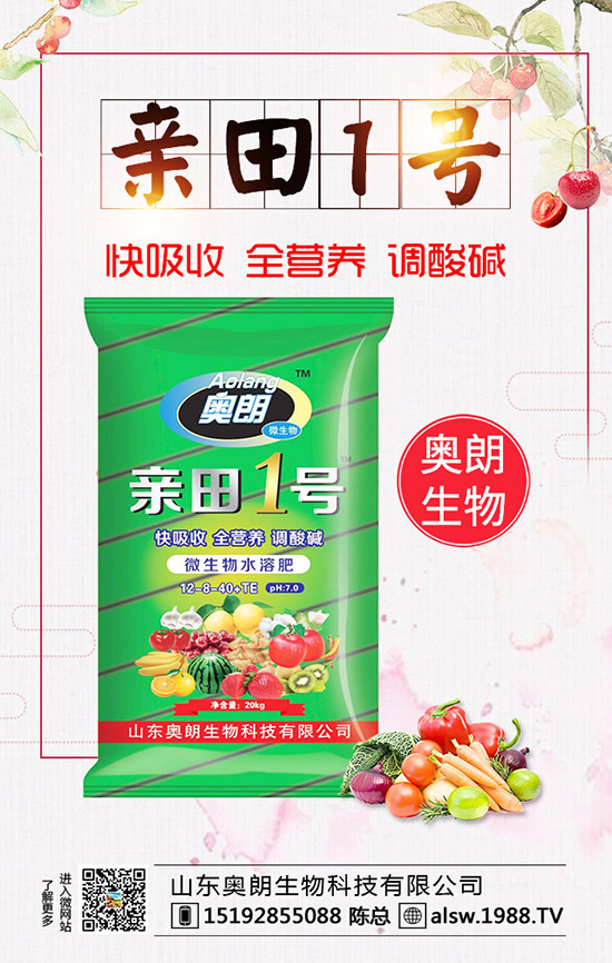  蘆筍種子處理及育苗技術(shù)，蘆筍定植后要如何管理？