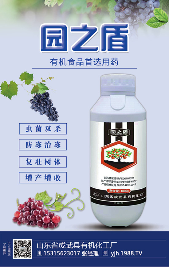 �J�S���ʩ�����J�S��ʲô���Ϻ����J�S������c(di��n)��ע�����(xi��ng)��