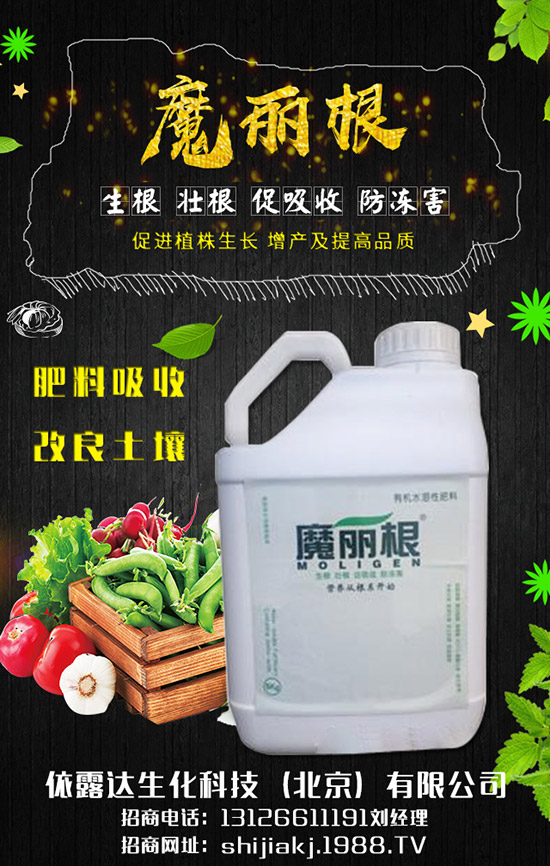 ���[���h(hu��n)����Ҫ������Щ�����[�ķNֲ����(ji��)���ճ�������