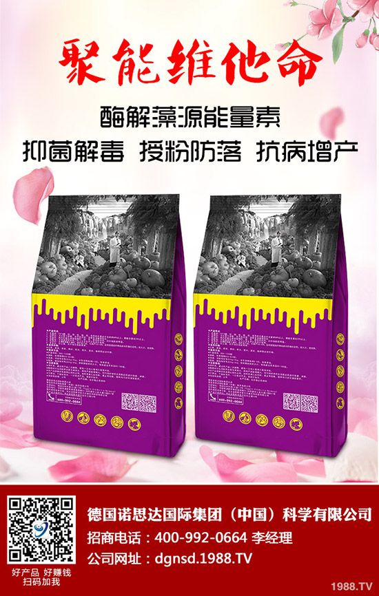 �ܱ��Ϲ���ô�Nֲ���ܱ��Ϲϵ����༼�g(sh��)Ҫ�c(di��n)�c������