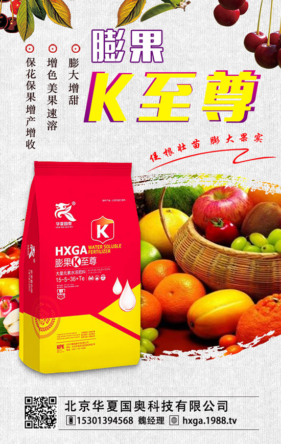��ޱ�辰��ηNֲ����ޱ�辰�ķNֲ������ע����헣�