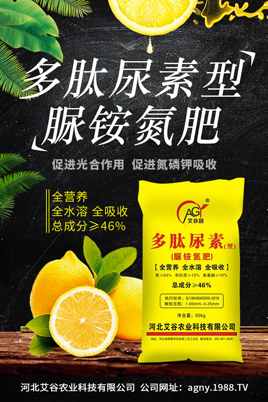 �ļ����NֲҪ�c(di��n)���ļ������缼�g(sh��)�����ڹ���