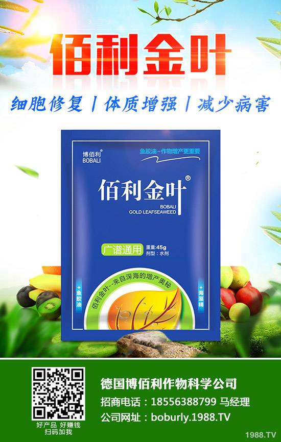     蘿卜撇葉中應(yīng)該注意什么？蘿卜撇葉的方法及注意事項(xiàng)！