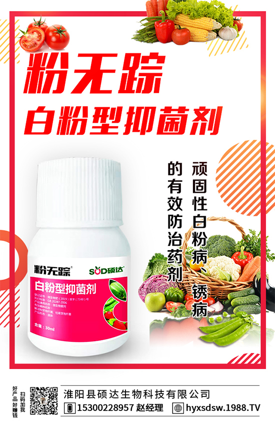 ������ô�Nֲ�������Nֲ���g(sh��)Ҫ�c��