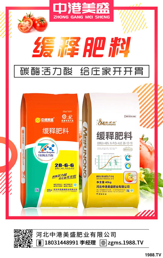 ����Nֲ��ÿ����ի@���Nֲ���һ���ж���������