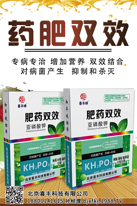 �������a(ch��n)ǧ���y���y���������a(ch��n)���Ƕ����������Nֲע�����(xi��ng)��