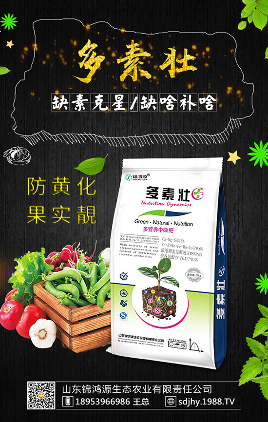 ���������緽������Щ������������Ҫ�c(di��n)�����ڹ�����