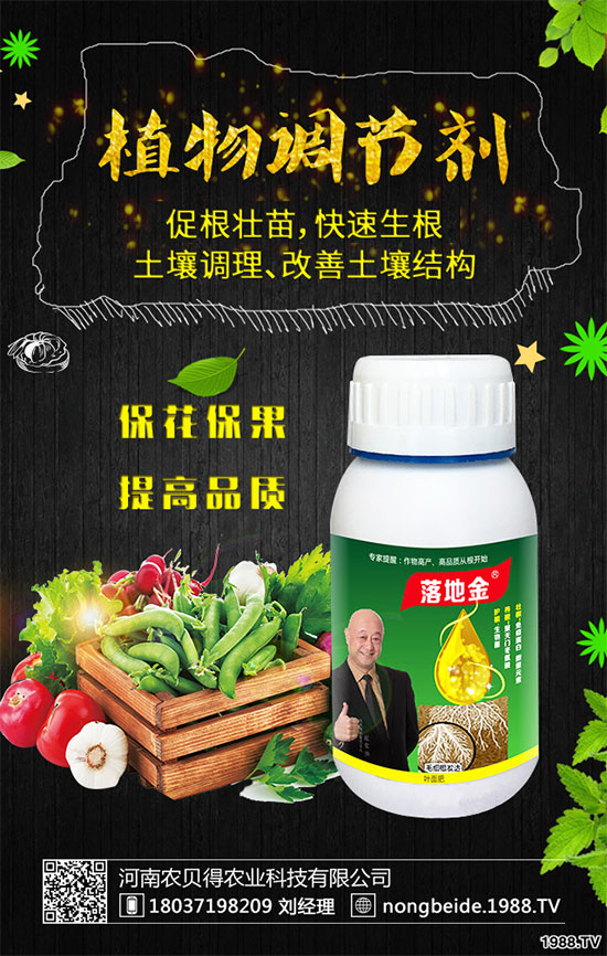 �����~Ƭ�l(f��)����ʲôԭ���������B(y��ng)ֳע��Ҫ�c(di��n)��