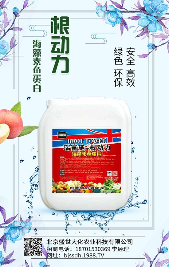�Ә���ô���綨ֲ��������������M�м޽���