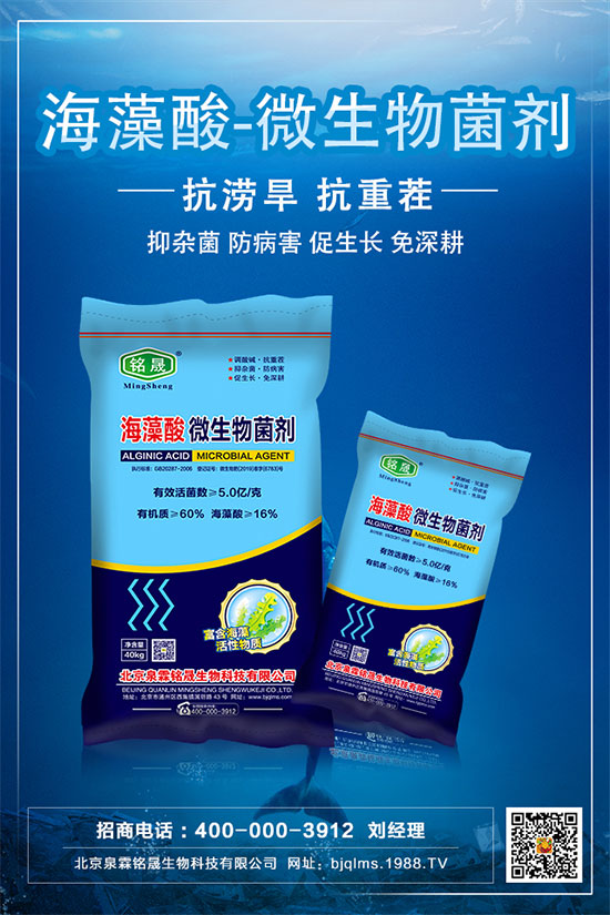 �Ә�(sh��)�Nֲ���g(sh��)Ҫ�c(di��n)���Ә�(sh��)���ԷNע�����(xi��ng)��