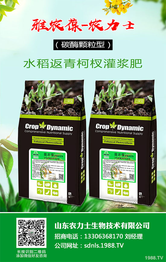 1�R���ԓ����ЉK�Nֲ���R����ЉK�Nֲ���g(sh��)��ע�����(xi��ng)