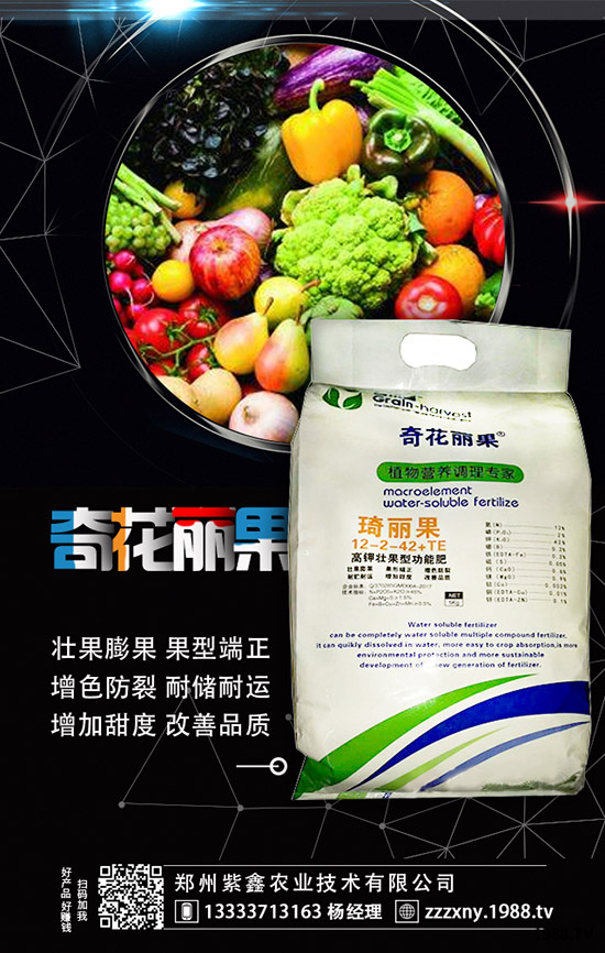 ��ݮĸ�綨ֲ������ʩ�������ӝ�ˮ��