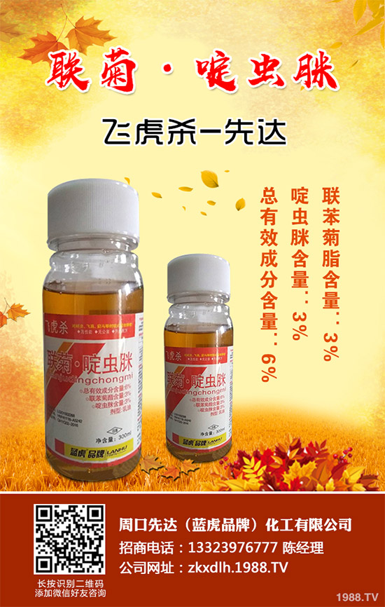 ������(sh��)�����Ƴ��¿�V�V���x(ch��ng)��Elevest�����x(ch��ng)��������+(li��n)��������